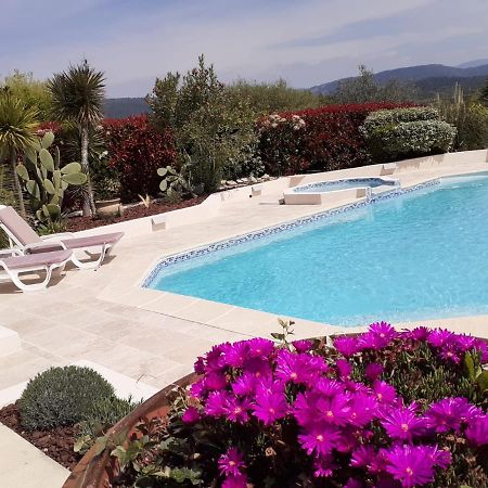 Gite Provencal Independant Avec Piscine Chauffee : Le Suy Bien 弗莱约斯克 外观 照片