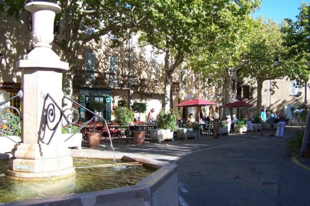 Gite Provencal Independant Avec Piscine Chauffee : Le Suy Bien 弗莱约斯克 外观 照片