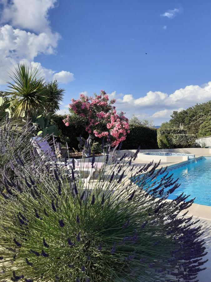 Gite Provencal Independant Avec Piscine Chauffee : Le Suy Bien 弗莱约斯克 外观 照片
