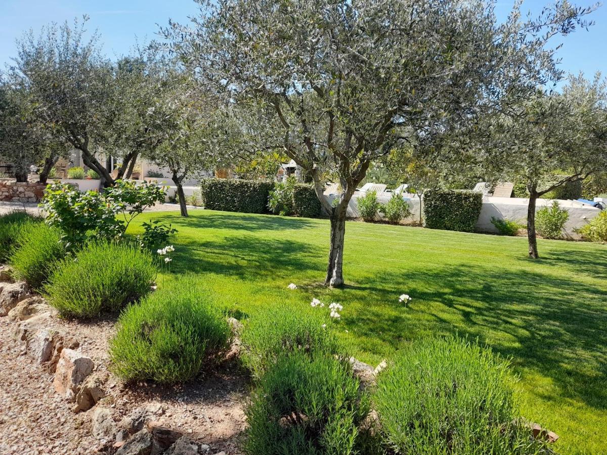 Gite Provencal Independant Avec Piscine Chauffee : Le Suy Bien 弗莱约斯克 外观 照片