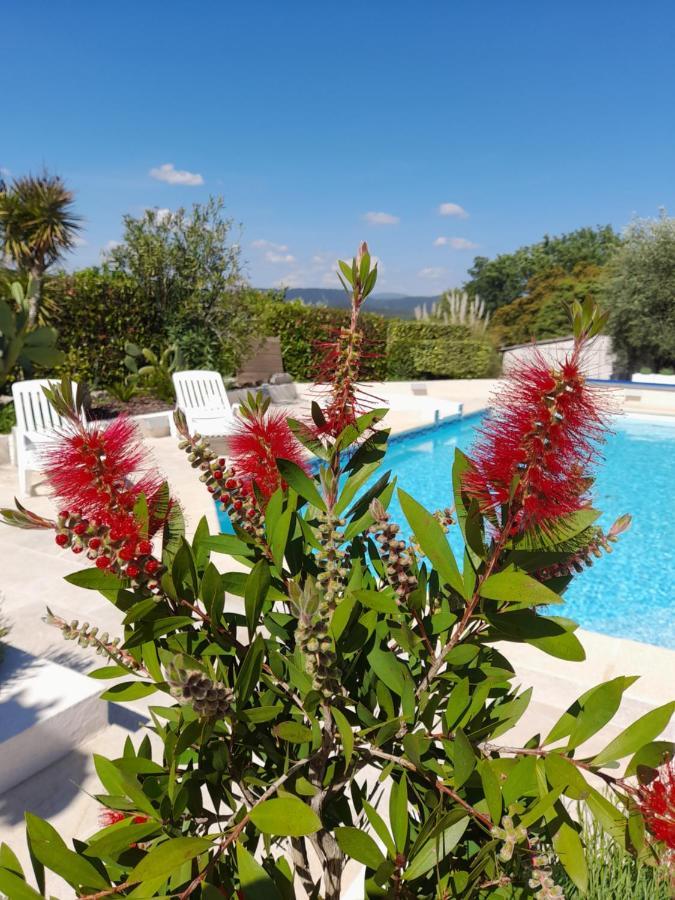 Gite Provencal Independant Avec Piscine Chauffee : Le Suy Bien 弗莱约斯克 外观 照片